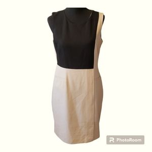 CALVIN KLEIN Beige and Black Colorblock Dress Size 8